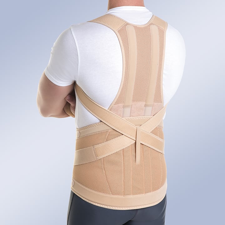 MODULAR DORSO-LUMBAR TAYLOR ORTHOSIS