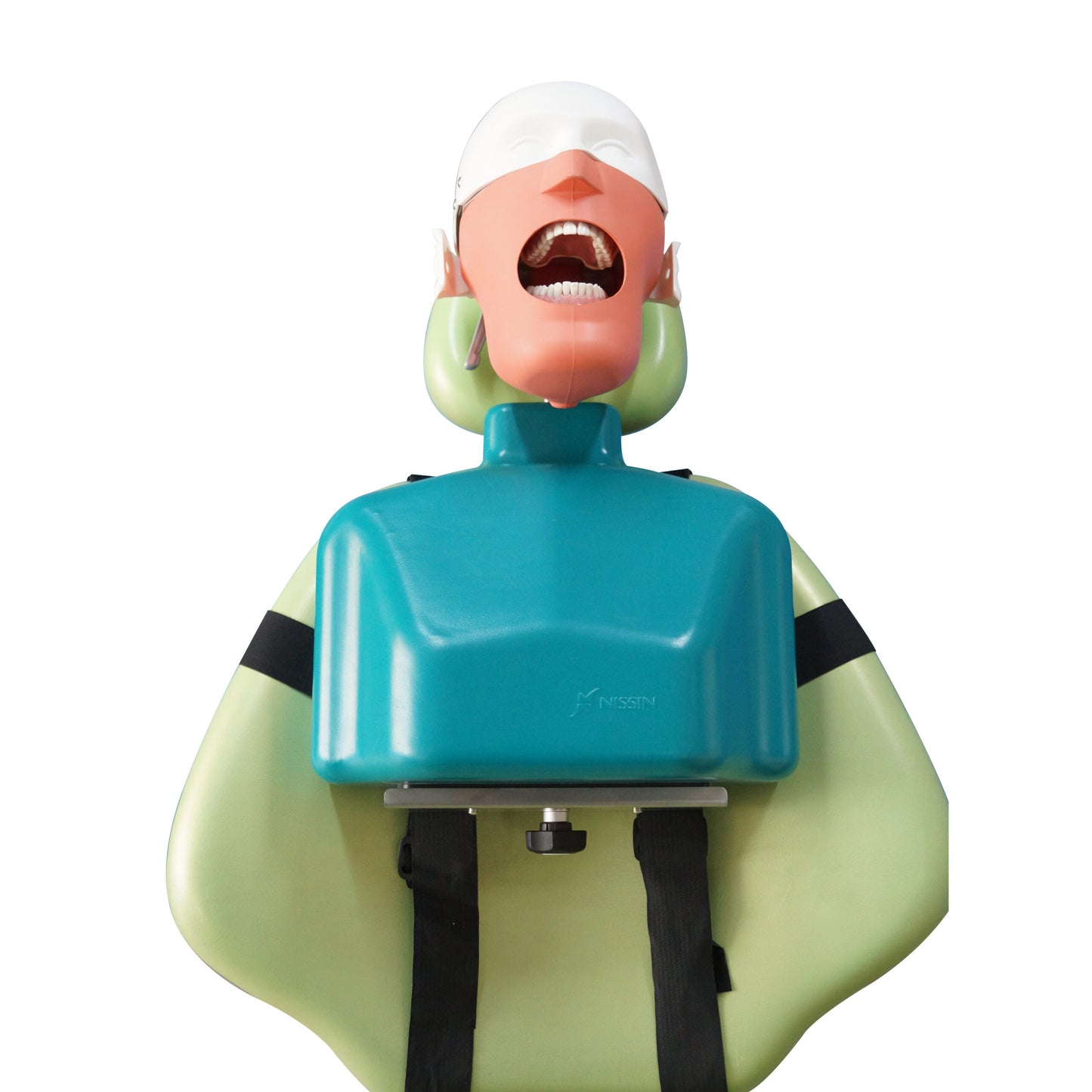 Dental Senior Manikin With Torso Teaching Dental Senior Phantom Head Manikin With Torso Other Dental Equipments