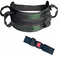 Padded Transfer Belt Auto Buckle - Medium