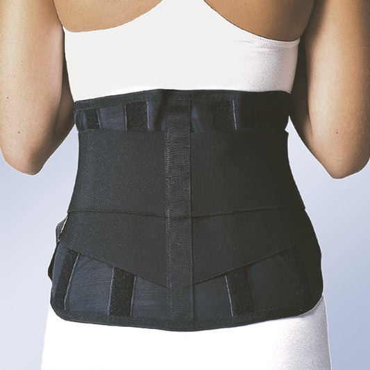 WORK PROTECTION BACK SUPPORT