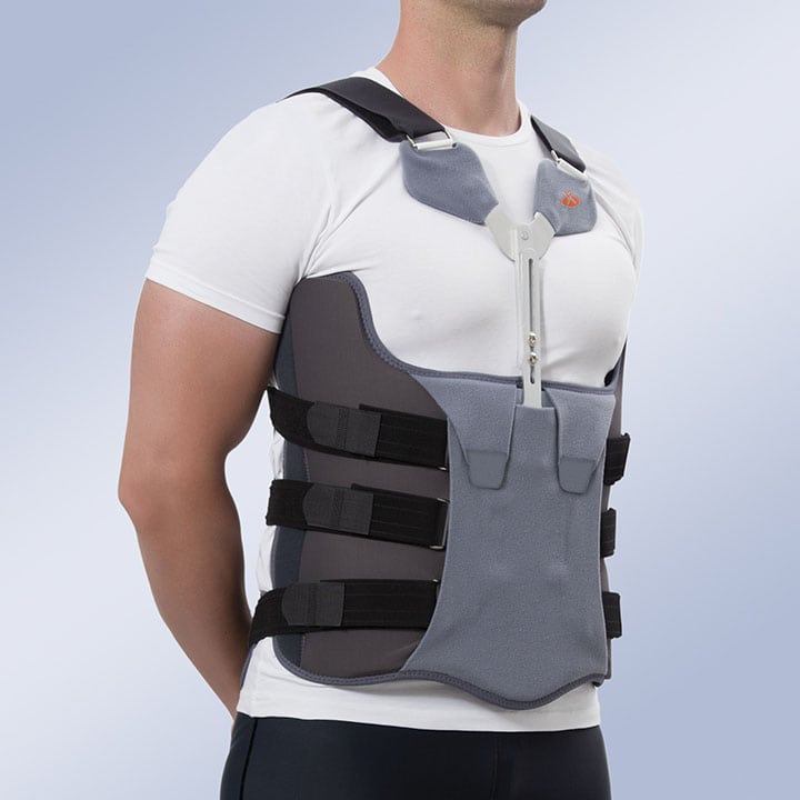 TWIN SHELL CORSET