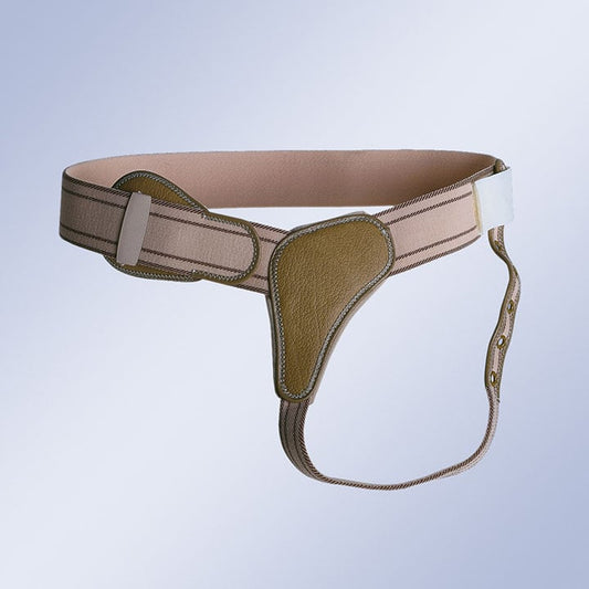 REINFORCED TRUSS WITH BUCKLE FASTENING