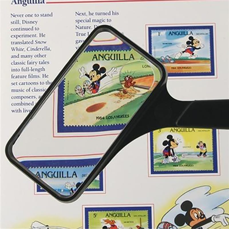 Rectangular Magnifying Reader