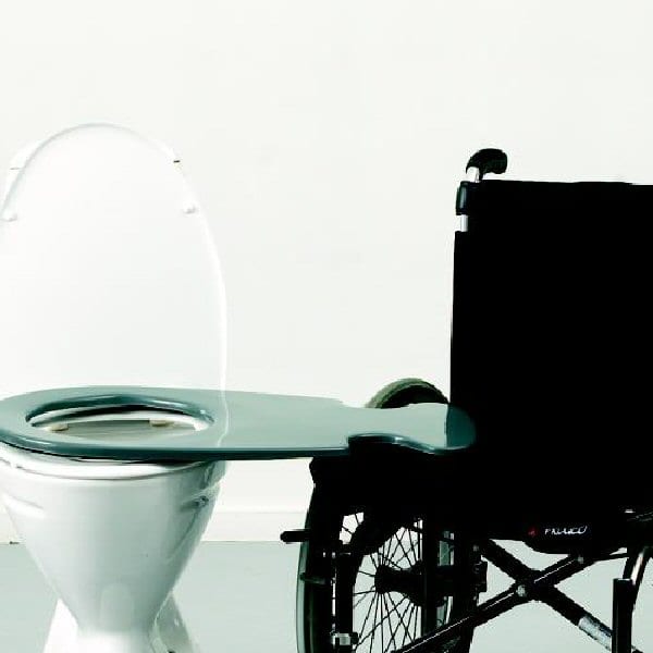 Dolphin Toilet Board